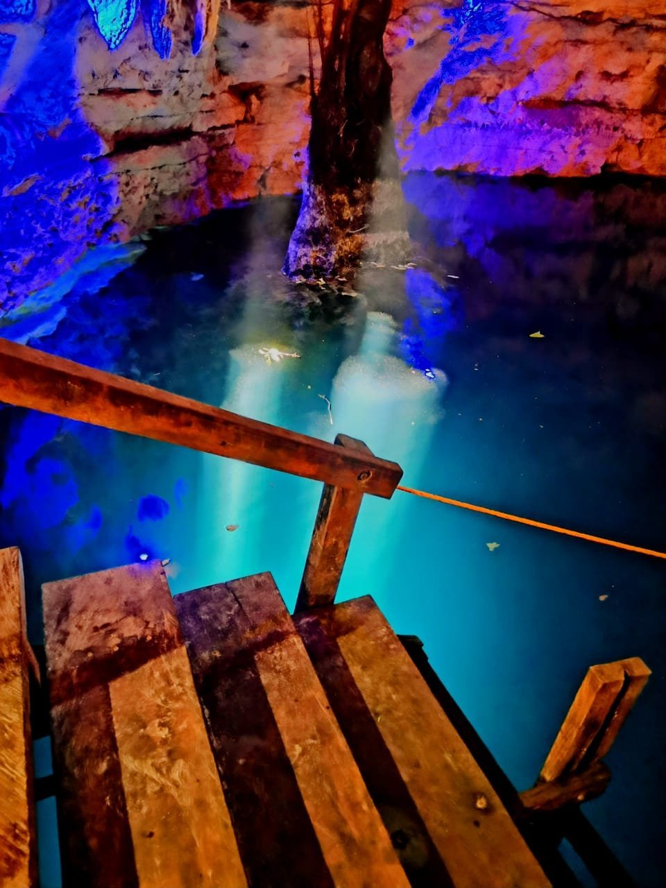 Cenote Puerta del Sueño - Imagen 2
