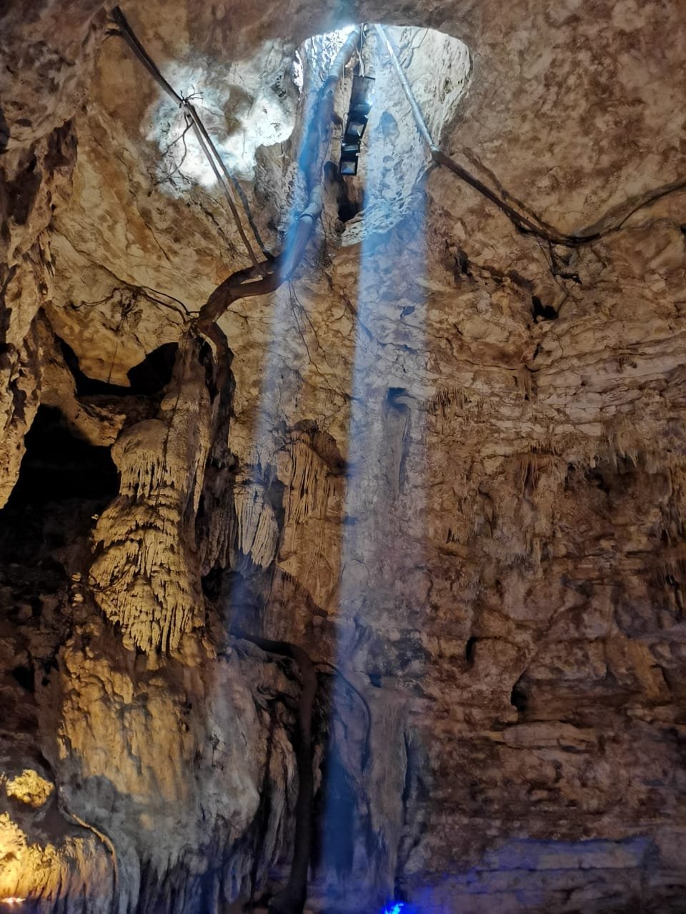 Cenote Puerta del Sueño - Imagen 3