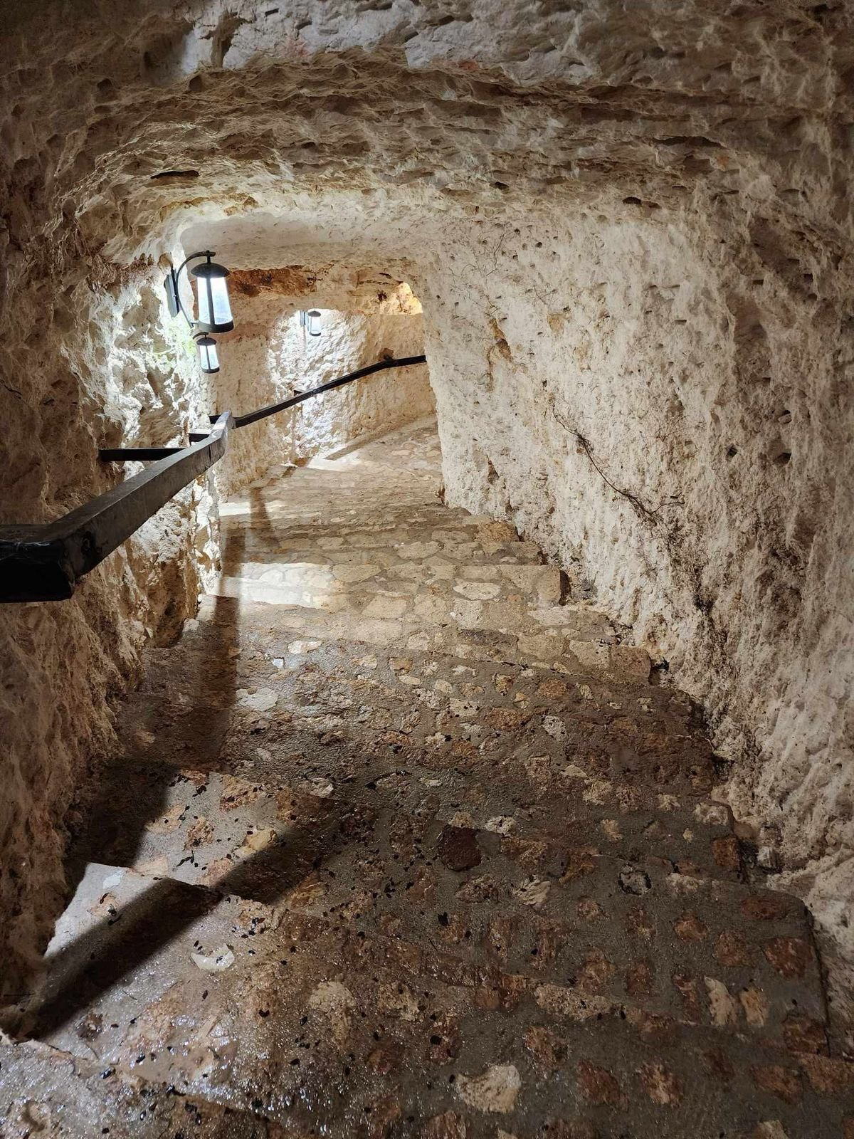 Cenote Puerta del Sueño - Imagen 7