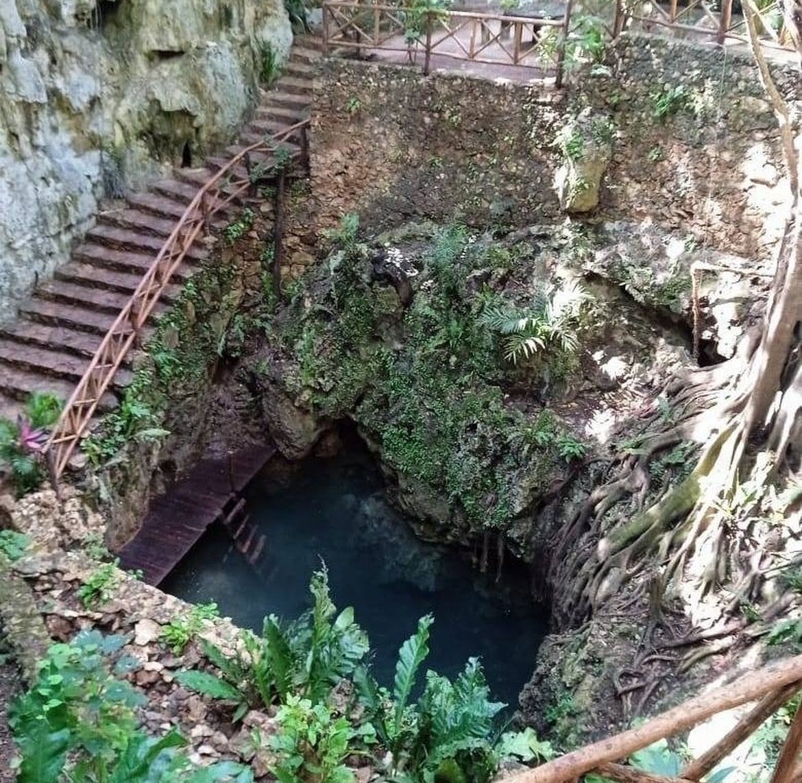 Cenote x kuuch - Imagen 2