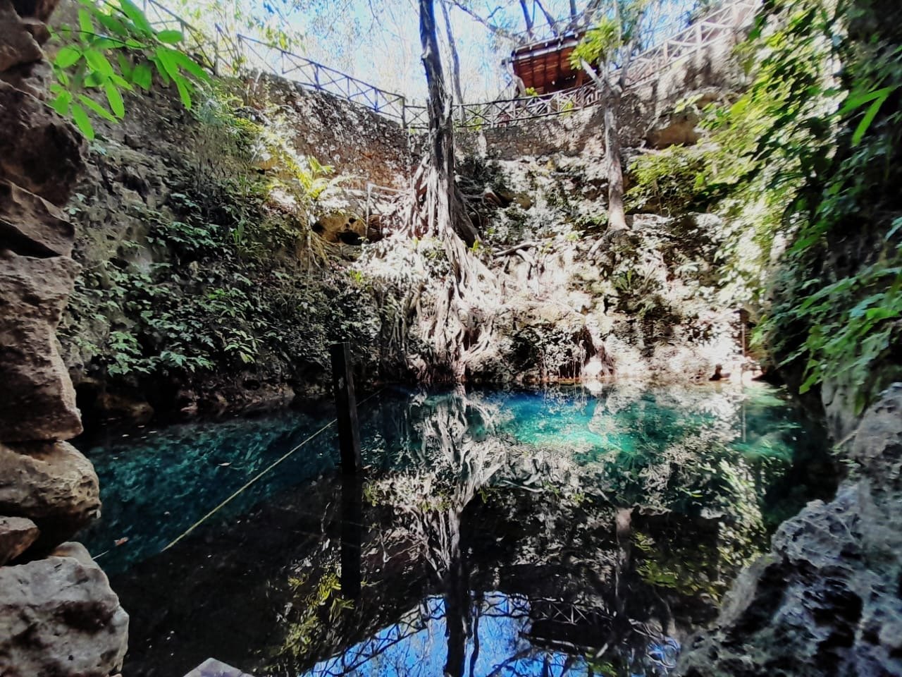 Cenote x kuuch - Imagen 4