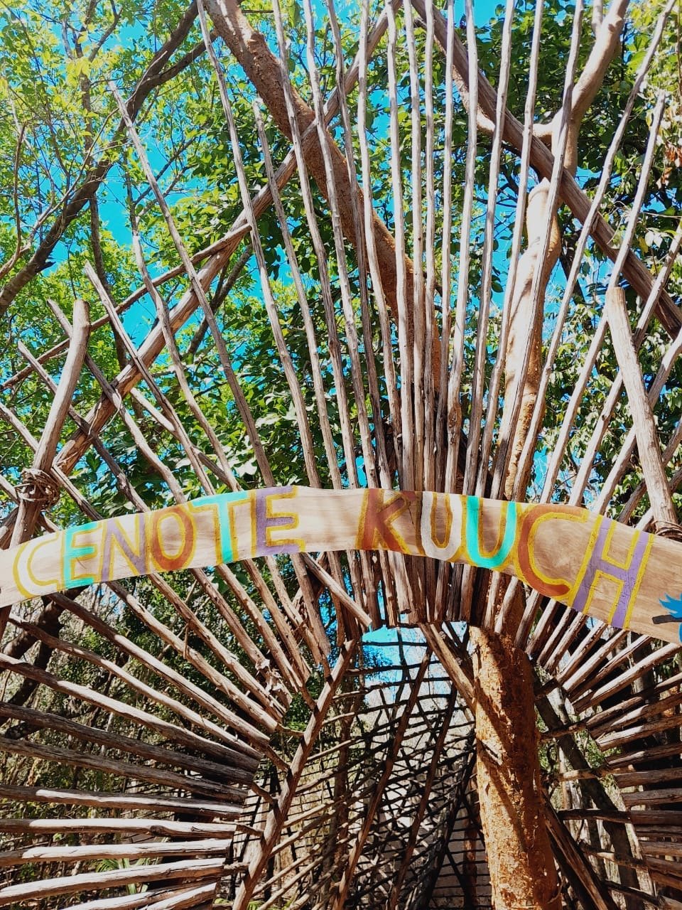 Cenote x kuuch - Imagen 8