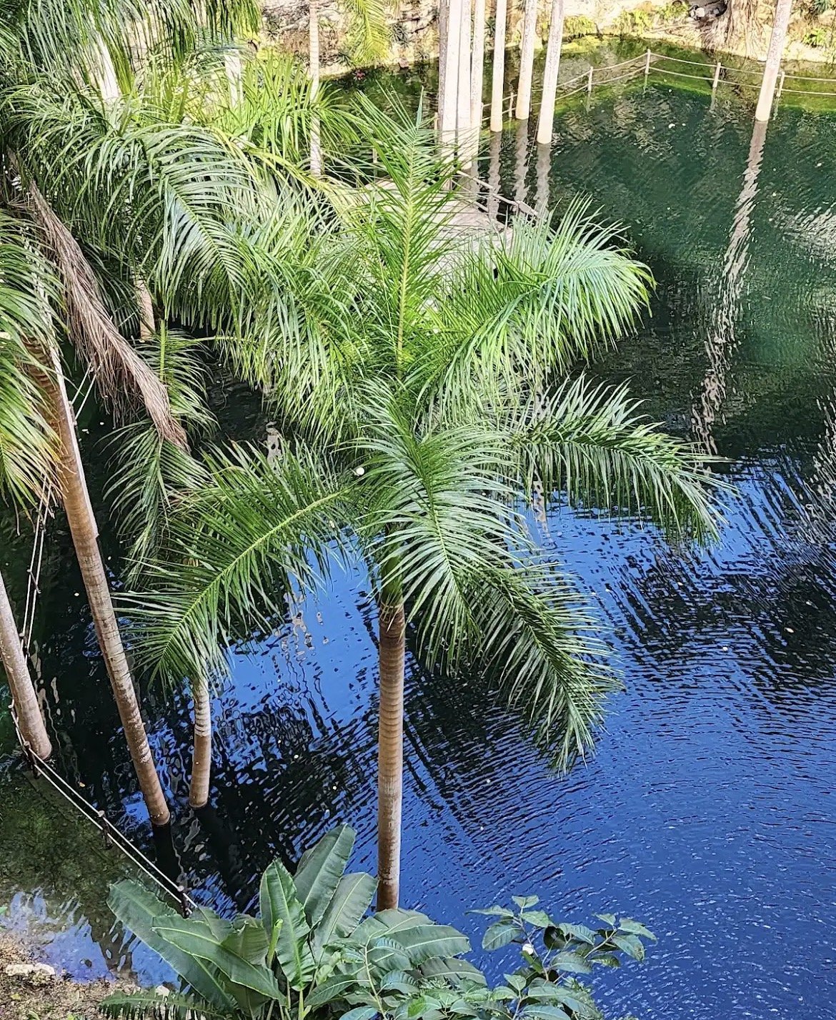 Real Dzonot - Imagen 3