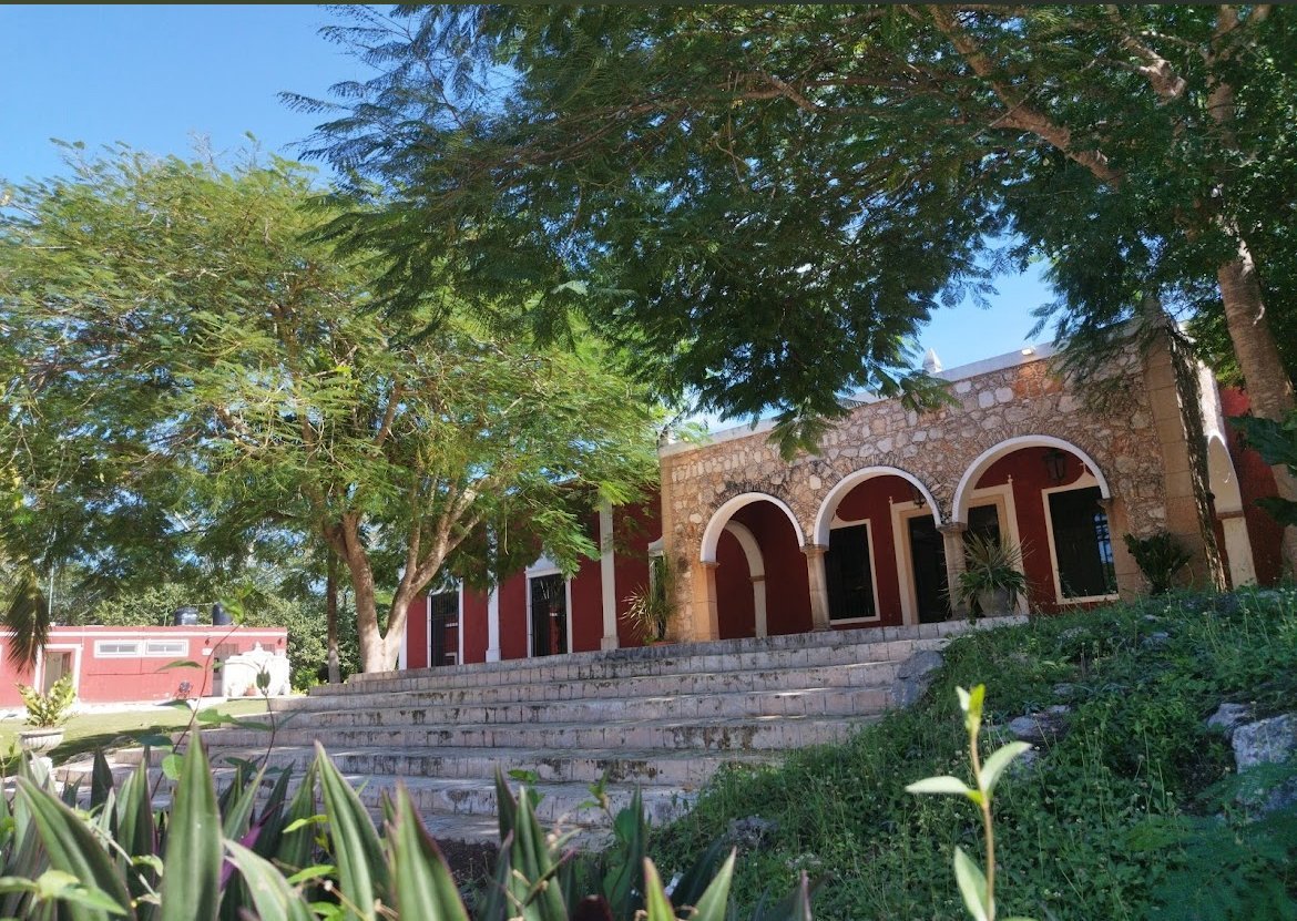 Real Dzonot - Imagen 4