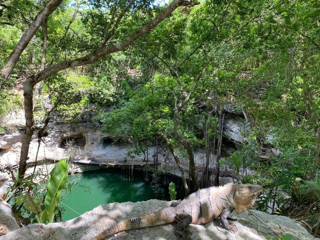 Xcanche Entrada General - Imagen 4